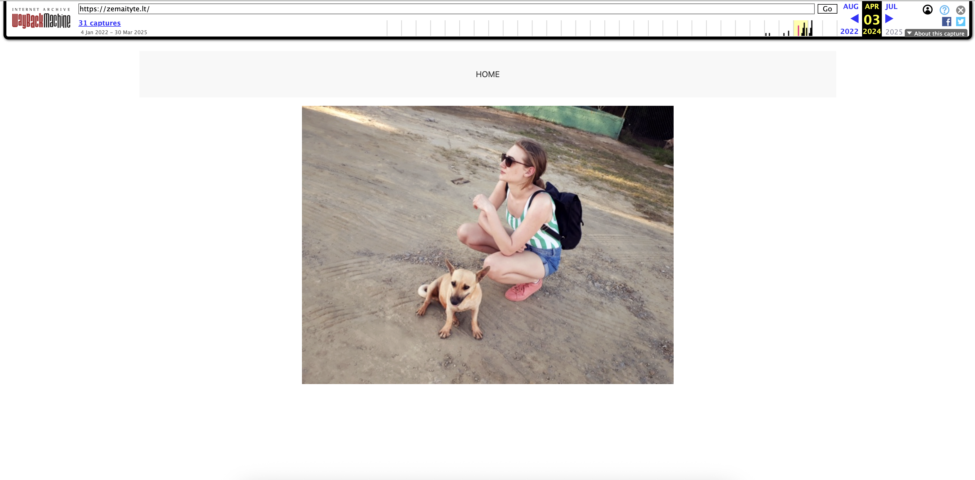 Older version of the site